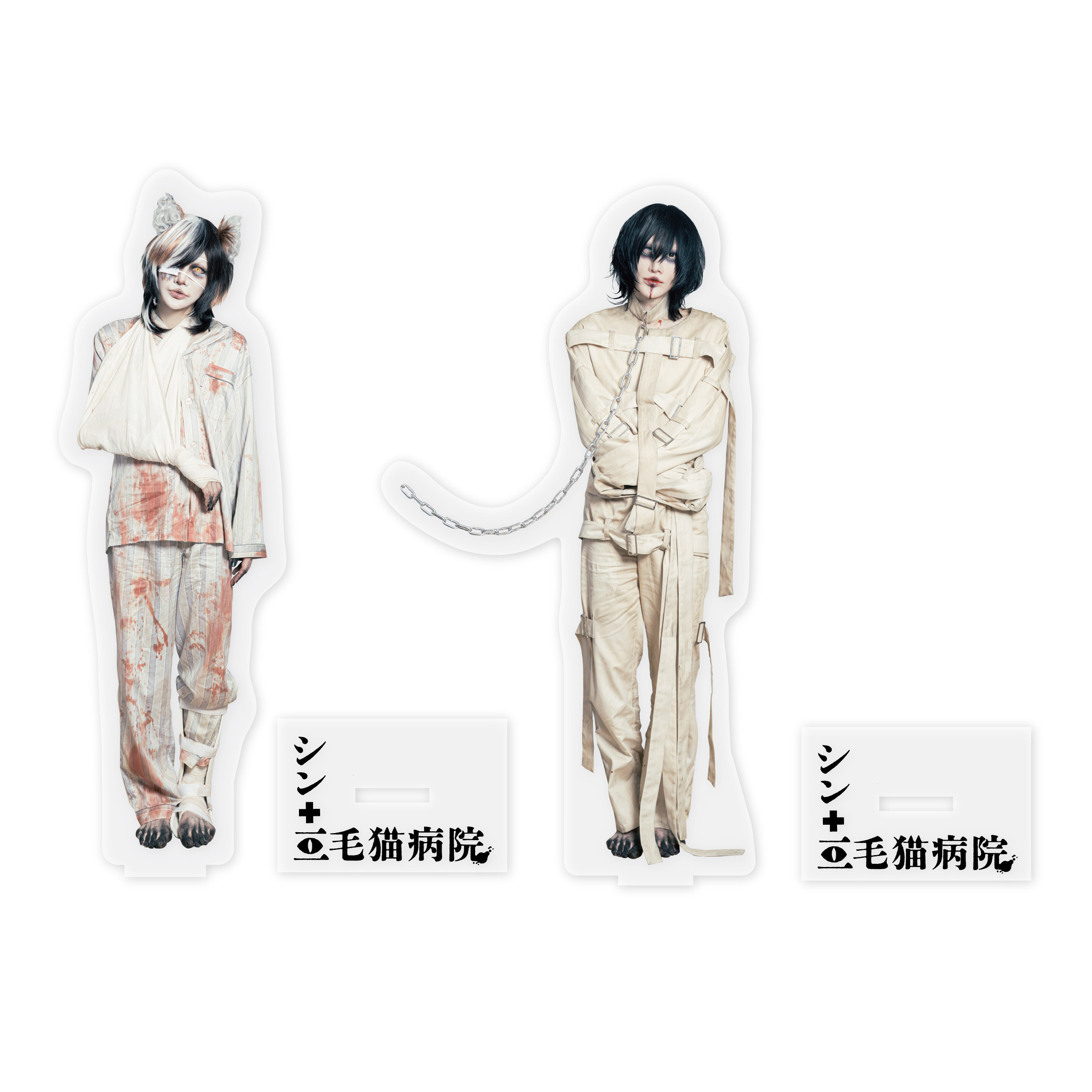 被験体 No.306：通称R (猫患者) / 通称R (人患者) 生体標本