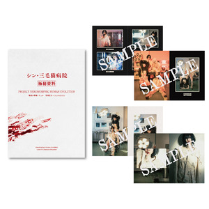 シン・三毛猫病院 極秘資料