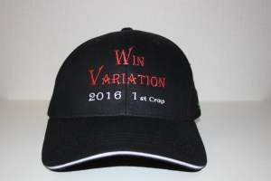 ウインバリアシオン号 2016 Year CAP