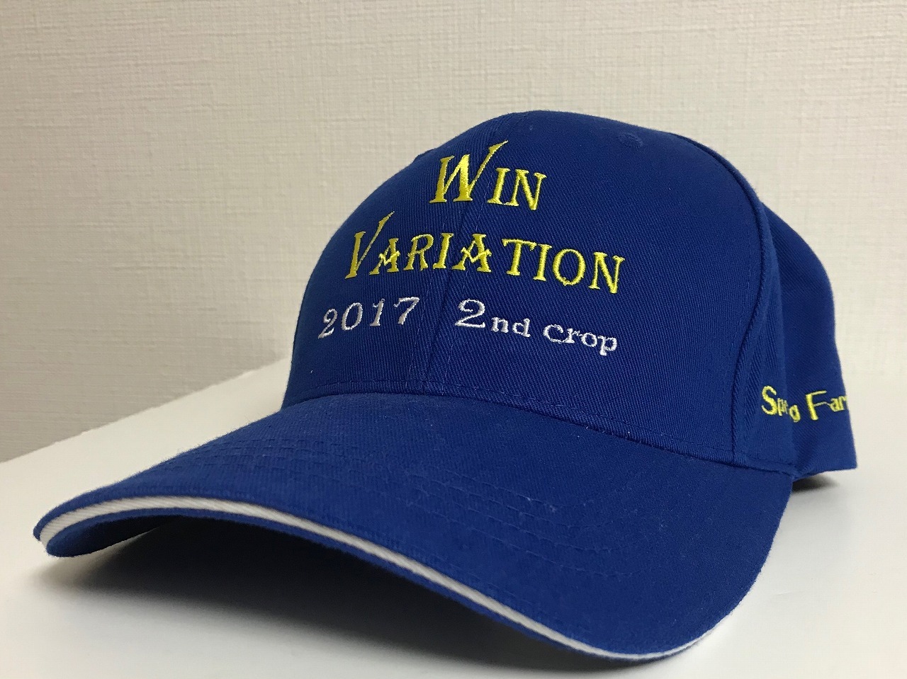 ウインバリアシオン号 2017 Year CAP