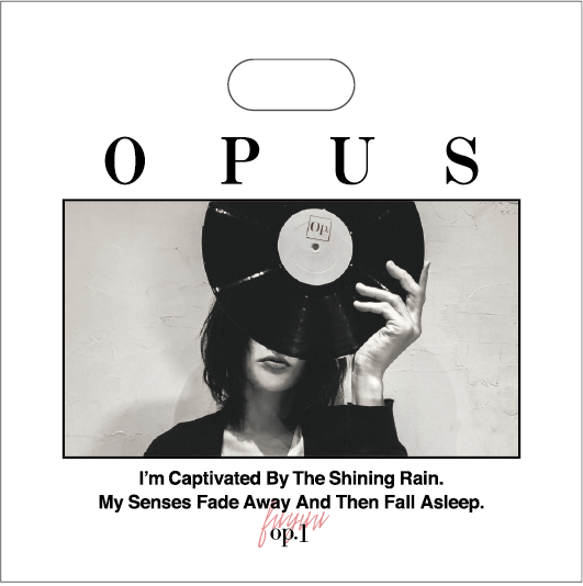【Sale／70％OFF】OPUS レコードバッグ