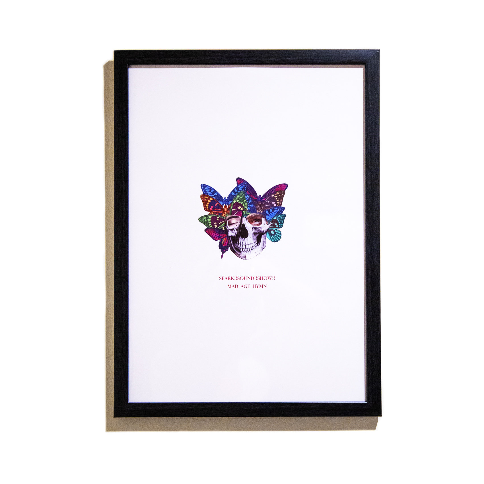 BUTTERFLY POSTER